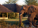 View of The Savanna Suites 