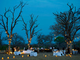 Bush-dinner-2