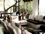 Tree Camp Deck Lounge