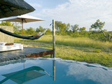 Leopard Hills Pool