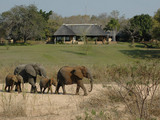 Inyati Lodge Across the Sand River