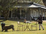 Kirkmans-kamp-dining-on-the