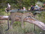 Game-drive-1