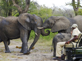 Game-drive-2